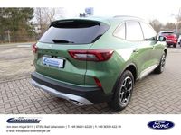 Gebraucht Ford Kuga Active 152 PS (111 kW) 2024 Grün SUV