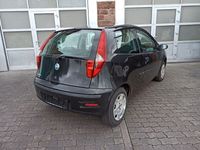 gebraucht Fiat Punto 1.2 8V Start