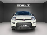 Gebraucht Fiat Panda 71 PS (52 kW) 2024 Gelato weiß Kleinwagen