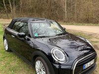 Używany Mini Cooper 136 KM (100 kW) 2024 Czarny Hatchback