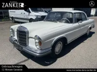 Gebraucht Mercedes 250 SE 150 PS (110 kW) 1966 Weiß Coupé