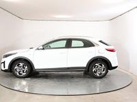 Neu Kia XCeed Silver 150 PS (110 kW) 2025 Carraraweiß SUV