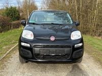 Gebraucht Fiat Panda Pop 69 PS (50 kW) 2016 Colore esterno (cinema schwarz Kleinwagen