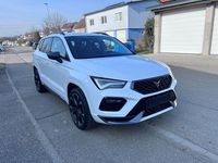 Gebraucht Cupra Ateca 150 PS (110 kW) 2023 Blanco candy/bila white SUV