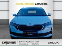 Gebraucht Skoda Octavia Selection 150 PS (110 kW) 2024 Moonweiss metallic met. Kombi