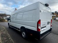 Neu Fiat Ducato 140 PS (102 kW) 2025 Weiß Van