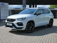 Gebraucht Cupra Ateca 190 PS (139 kW) 2025 "nevada" weiss SUV