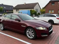 Gebraucht Jaguar XF 180 PS (132 kW) 2017 Rot Limousine