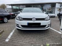 gebraucht VW Golf 2.0 TDI DSG Highline*1Hand*AHK*Pano*