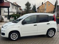 Gebraucht Fiat Panda More 69 PS (50 kW) 2017 Weiß Kleinwagen