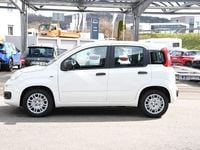 Neu Fiat Panda 69 PS (50 kW) 2025 Weiß Kleinwagen