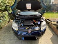 Gebraucht Fiat Panda 69 PS (50 kW) 2013 Blau Kleinwagen