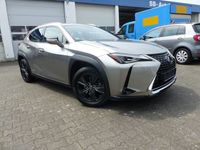 gebraucht Lexus UX 250h Kamera,ACC,LED Scheinwerfwer,