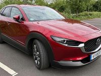 Gebraucht Mazda CX-30 Exclusive-Line 186 PS (136 kW) 2023 Rot SUV