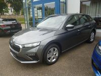 Neu Skoda Scala Selection 116 PS (85 kW) 2025 Grau Kleinwagen