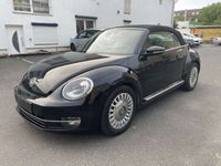 gebraucht VW Beetle Cabriolet Design BMT 2.0TDI Navi Xenon