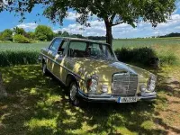 Gebraucht Mercedes 280 195 PS (143 kW) 1973 Gelb Limousine