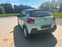 Gebraucht Citroën C3 82 PS (60 kW) 2020 Grün Kleinwagen