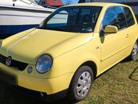 Gebraucht VW Lupo 50 PS (36 kW) 2004 Kleinwagen