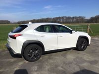 gebraucht Lexus UX 250h