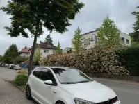 Gebraucht VW Polo GTI 192 PS (141 kW) 2016 Weiß Kleinwagen