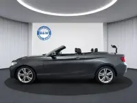 Gebraucht BMW 220 Performance 184 PS (135 kW) 2015 Grau Cabrio