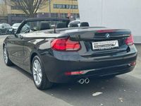 gebraucht BMW 218 i Cabrio Advantage Navi PDC DAB Shz Lordose