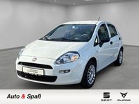 Gebraucht Fiat Punto Basis 69 PS (50 kW) 2017 Weiß Kleinwagen