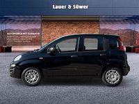 Neu Fiat Panda Icon 65 PS (47 kW) 2026 Schwarz Kleinwagen