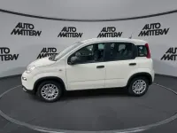 Gebraucht Fiat Panda 69 PS (50 kW) 2024 Weiss Kleinwagen