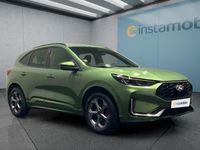 Gebraucht Ford Kuga ST-Line X 186 PS (136 kW) 2024 Grün SUV