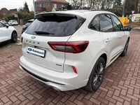 Neu Ford Kuga 242 PS (177 kW) 2026 Weiß SUV