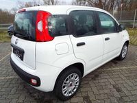 Neu Fiat Panda S 69 PS (50 kW) 2025 Weiß Kleinwagen