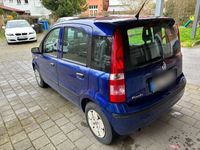 gebraucht Fiat Panda 1.1 - Ein treuer Familienbegleiter