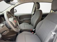 Neu Fiat Panda Icon 65 PS (47 kW) 2026 Gelato weiß Kleinwagen