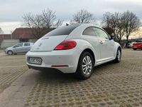 gebraucht VW Beetle 