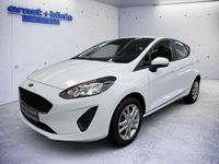 Gebraucht Ford Fiesta Trend 75 PS (55 kW) 2021 Weiß Kleinwagen