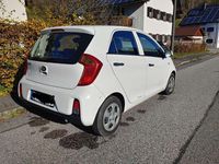 Gebraucht Kia Picanto Spirit 65 PS (47 kW) 2016 Weiß Kleinwagen