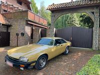 Gebraucht Jaguar XJS 286 PS (210 kW) 1977 Gelb Coupé