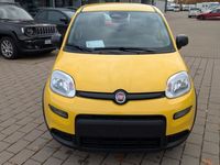 Neu Fiat Panda 69 PS (50 kW) 2025 Gelb Kleinwagen