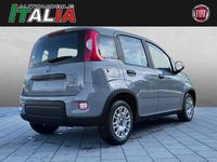 Gebraucht Fiat Panda 70 PS (51 kW) 2023 Grau Kleinwagen