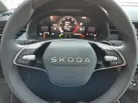 Neu Skoda Kamiq Selection 116 PS (85 kW) 2026 Blau SUV