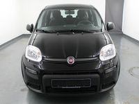 Gebraucht Fiat Panda 69 PS (50 kW) 2022 Schwarz Limousine