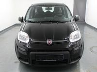 Gebraucht Fiat Panda 70 PS (51 kW) 2022 Schwarz Limousine