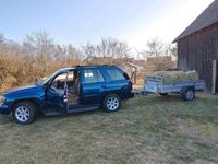 Gebraucht Chevrolet TrailBlazer 273 PS (200 kW) 2001 Blau SUV