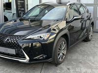 gebraucht Lexus UX 250h *Komfort+*Navi*WKR*