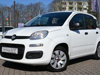 Gebraucht Fiat Panda Pop 69 PS (50 kW) 2012 Weiß Kleinwagen
