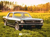 Gebraucht Ford Mustang 200 PS (147 kW) 1966 Grün Coupé