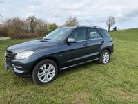 Gebraucht Mercedes ML250 204 PS (150 kW) 2012 Grau SUV
