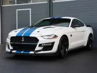 Occasion Ford Mustang 314 ch (230 kW) 2022 Blanc Coupé